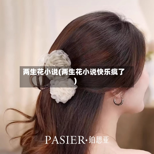 两生花小说(两生花小说快乐疯了)-第2张图片