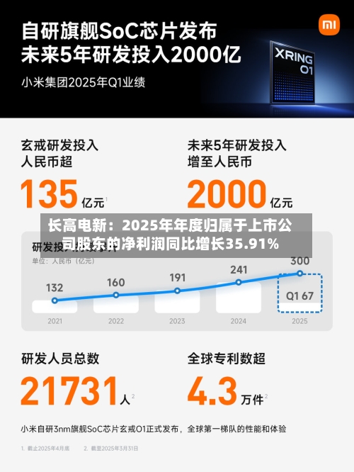 长高电新：2025年年度归属于上市公司股东的净利润同比增长35.91%-第2张图片