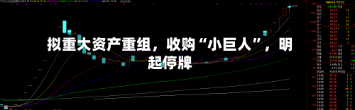 拟重大资产重组	，收购“小巨人”，明起停牌-第2张图片