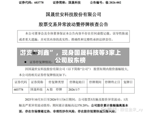 游资“刘鑫” ，现身国晟科技等3家上公司股东榜-第3张图片