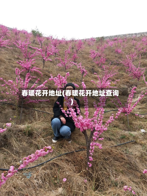 春暖花开地址(春暖花开地址查询)-第2张图片