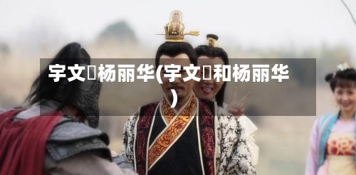 宇文赟杨丽华(宇文赟和杨丽华)-第3张图片