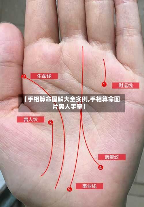 【手相算命图解大全实例,手相算命图片男人手掌】-第2张图片