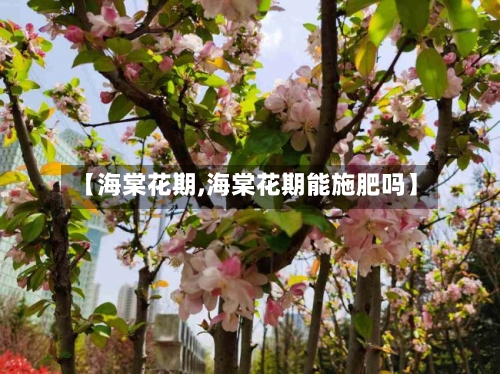 【海棠花期,海棠花期能施肥吗】-第3张图片