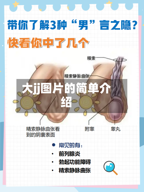 大jj图片的简单介绍-第2张图片