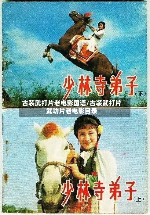 古装武打片老电影国语/古装武打片武功片老电影目录-第2张图片