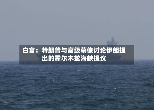 白宫：特朗普与高级幕僚讨论伊朗提出的霍尔木兹海峡提议-第1张图片