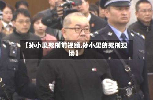 【孙小果死刑前视频,孙小果的死刑现场】-第2张图片