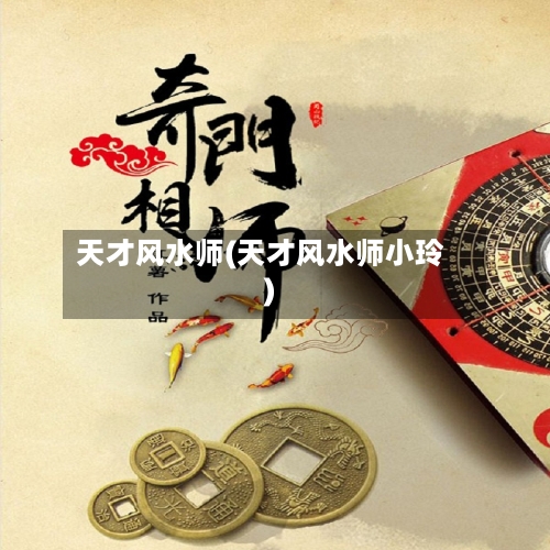 天才风水师(天才风水师小玲)-第1张图片