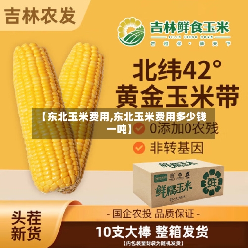 【东北玉米费用,东北玉米费用多少钱一吨】-第2张图片