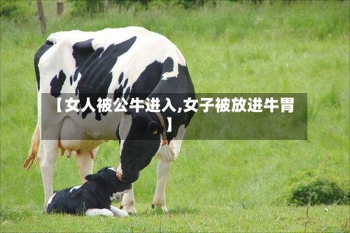 【女人被公牛进入,女子被放进牛胃】-第3张图片