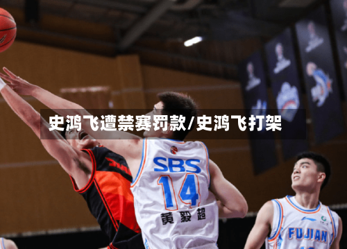 史鸿飞遭禁赛罚款/史鸿飞打架-第2张图片