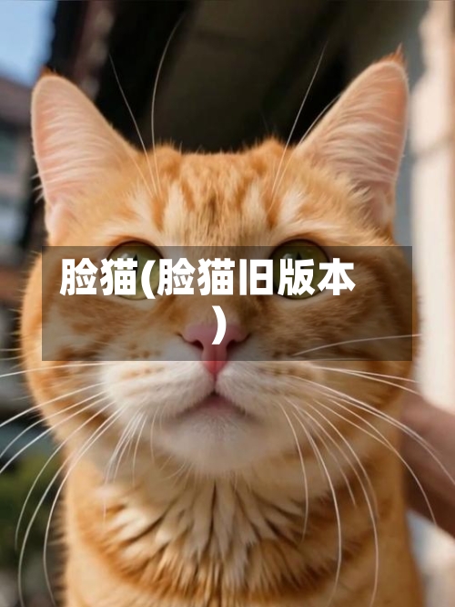 脸猫(脸猫旧版本)-第2张图片