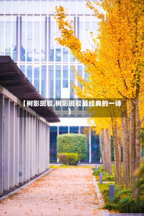 【树影斑驳,树影斑驳最经典的一诗】-第1张图片