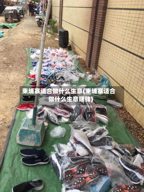 柬埔寨适合做什么生意(柬埔寨适合做什么生意赚钱)-第3张图片