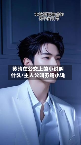 苏晴在公交上的小说叫什么/主人公叫苏晴小说-第2张图片
