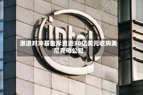 激进对冲基金斥资近30亿美元收购美尼克母公司-第2张图片