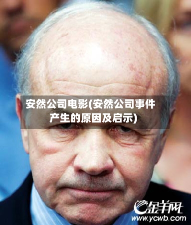 安然公司电影(安然公司事件产生的原因及启示)-第2张图片