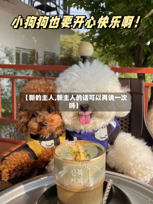 【新的主人,新主人的话可以再说一次吗】-第1张图片