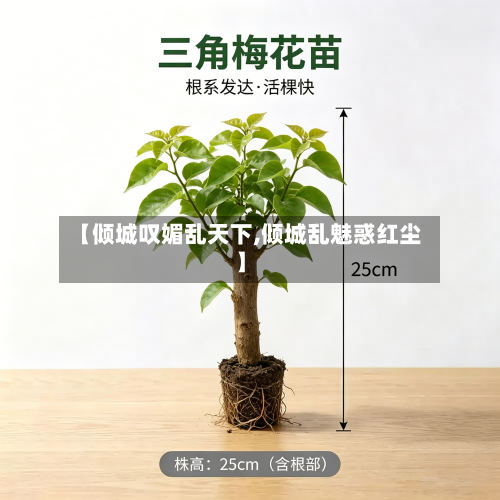 【倾城叹媚乱天下,倾城乱魅惑红尘】-第1张图片