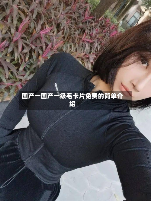 国产一国产一级毛卡片免费的简单介绍-第2张图片
