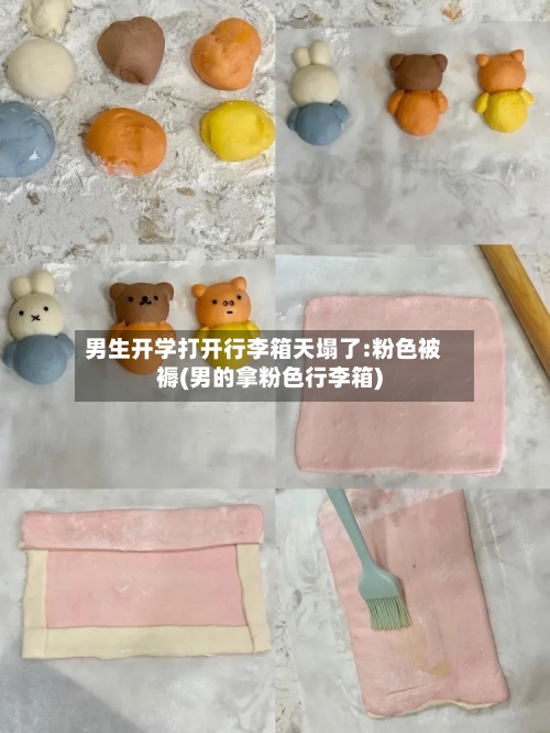 男生开学打开行李箱天塌了:粉色被褥(男的拿粉色行李箱)-第1张图片