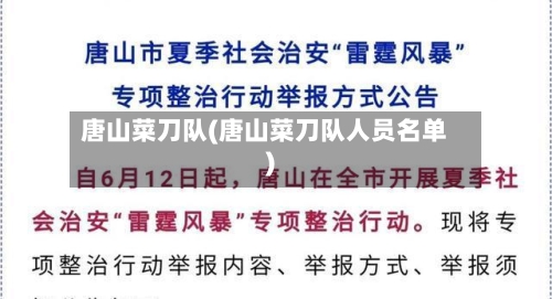 唐山菜刀队(唐山菜刀队人员名单)-第1张图片