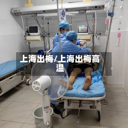 上海出梅/上海出梅高温-第3张图片