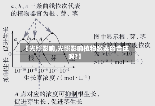 【光照影响,光照影响植物激素的合成吗?】-第2张图片