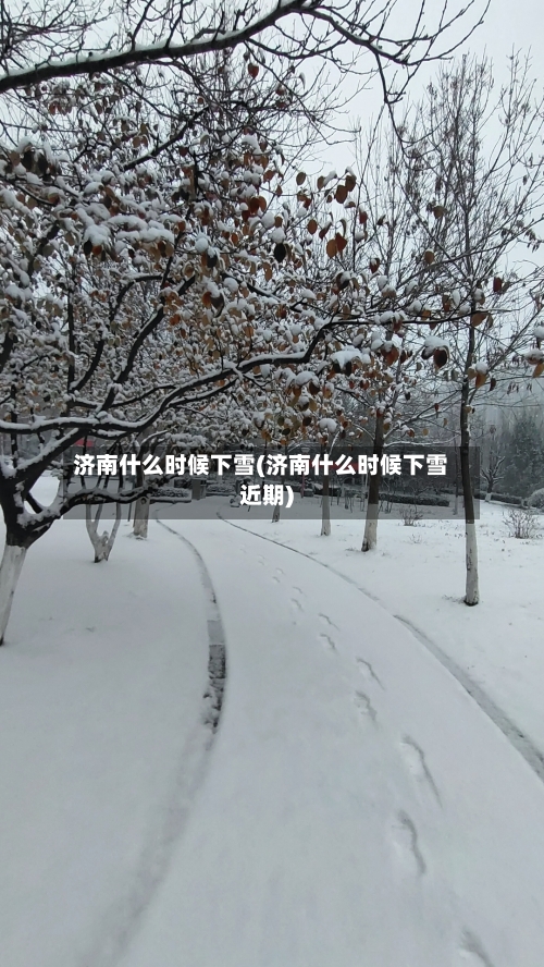 济南什么时候下雪(济南什么时候下雪近期)-第1张图片