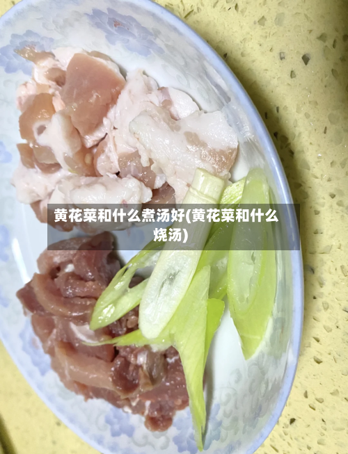 黄花菜和什么煮汤好(黄花菜和什么烧汤)-第1张图片