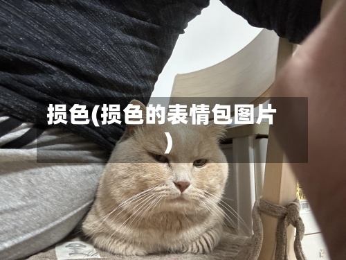 损色(损色的表情包图片)-第1张图片
