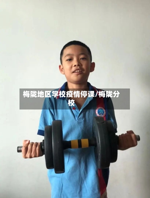 梅陇地区学校疫情停课/梅陇分校-第1张图片