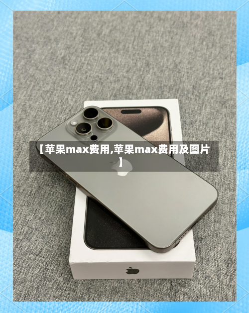 【苹果max费用,苹果max费用及图片】-第1张图片