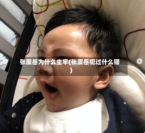 张震岳为什么坐牢(张震岳犯过什么错)-第1张图片