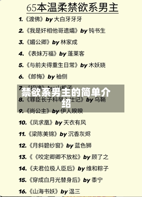 禁欲系男主的简单介绍-第2张图片