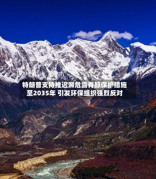 特朗普支持推迟濒危露脊鲸保护措施至2035年 引发环保组织强烈反对-第3张图片
