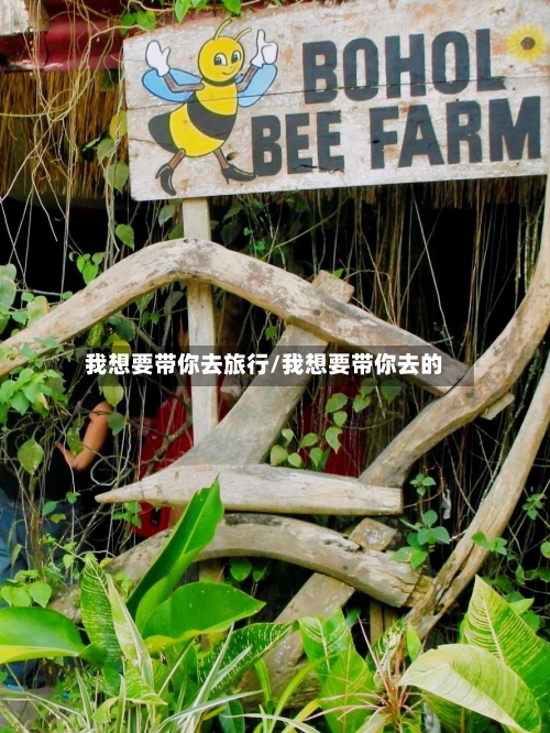 我想要带你去旅行/我想要带你去的-第1张图片