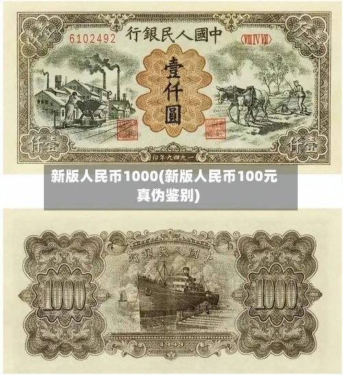 新版人民币1000(新版人民币100元真伪鉴别)-第1张图片