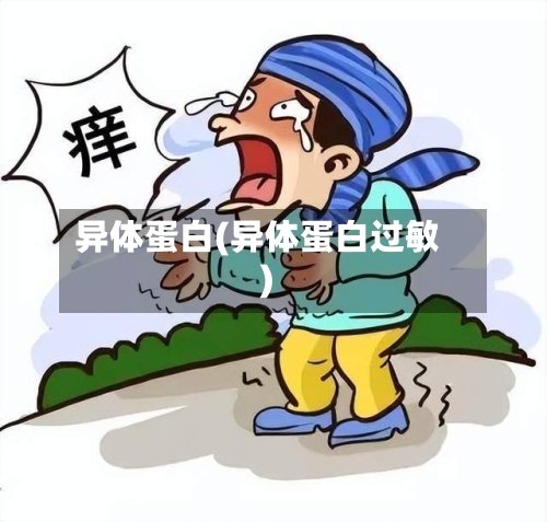 异体蛋白(异体蛋白过敏)-第1张图片