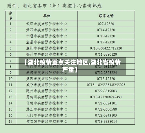 【湖北疫情重点关注地区,湖北省疫情严重】-第2张图片