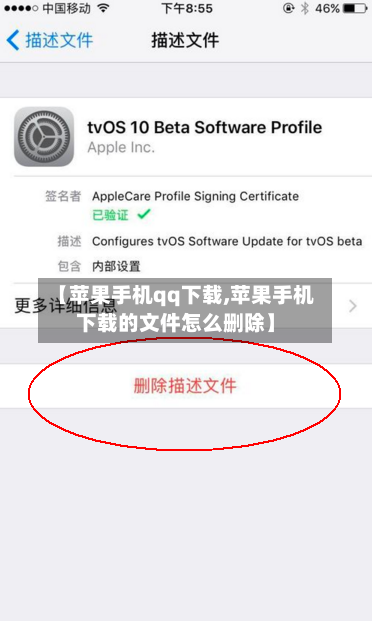 【苹果手机qq下载,苹果手机下载的文件怎么删除】-第1张图片