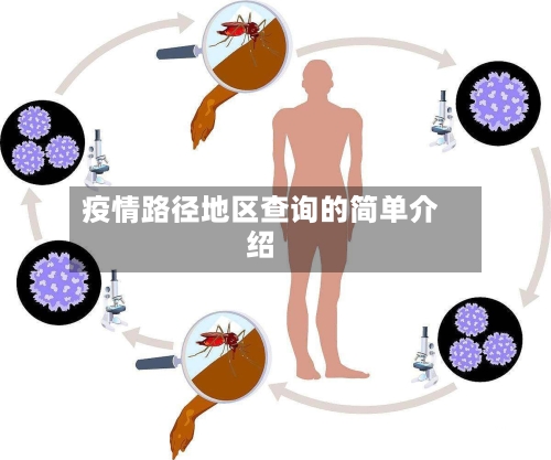 疫情路径地区查询的简单介绍-第1张图片