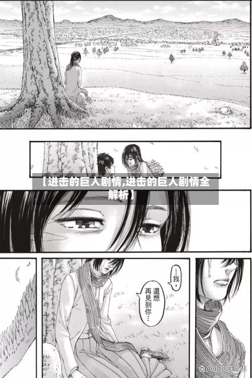 【进击的巨人剧情,进击的巨人剧情全解析】-第1张图片