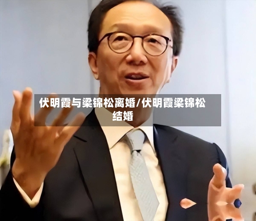 伏明霞与梁锦松离婚/伏明霞梁锦松结婚-第2张图片