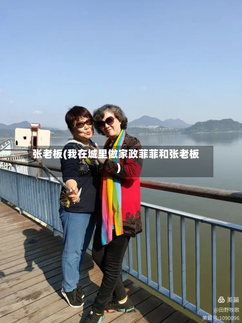 张老板(我在城里做家政菲菲和张老板)-第1张图片
