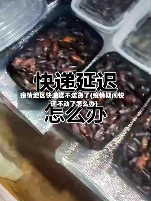 疫情地区快递送不送货了(疫情期间快递不动了怎么办)-第1张图片