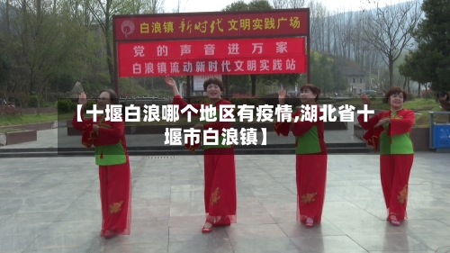 【十堰白浪哪个地区有疫情,湖北省十堰市白浪镇】-第3张图片