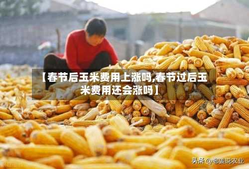 【春节后玉米费用上涨吗,春节过后玉米费用还会涨吗】-第2张图片