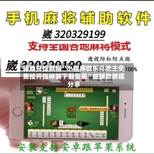 辅助开挂教程“小程序微乐斗地主免费挂开挂神器下载安装”细辅助教程分享-第3张图片
